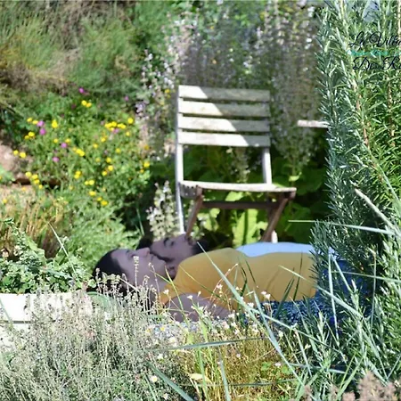 D'hotes & La Des Raspes - Adults Only *